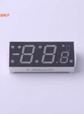 FJ5422AH 12PIN -[原装数码管插件