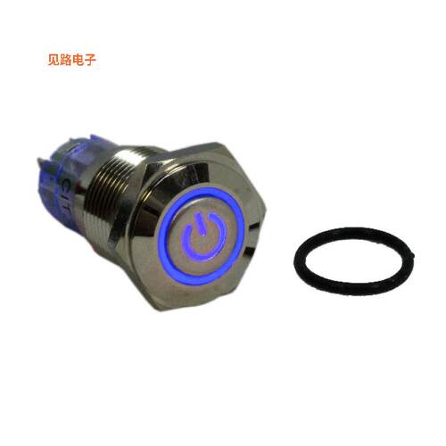 CH2LGSBNS -[全新SWITCH PB DPDT 1A 125V]