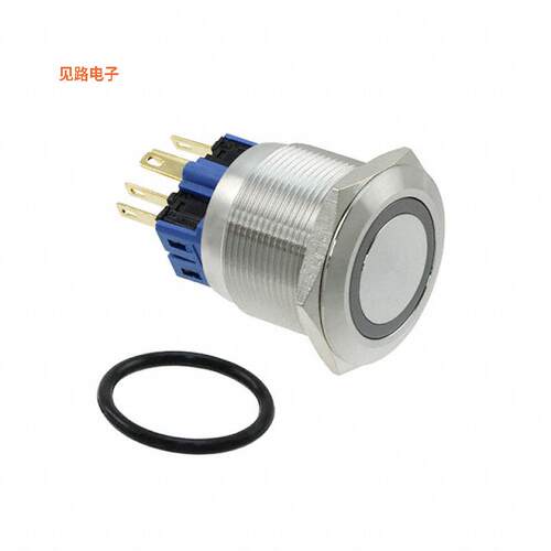 PV8F2Y0SS-344 -[全新SWITCH PUSHBUTTON DPST 2A 36V]