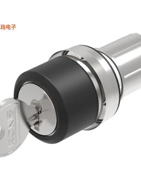 45-290D.2000.113 -[全新CONFIG SW BODY KEYLOCK NON-ILLUM]