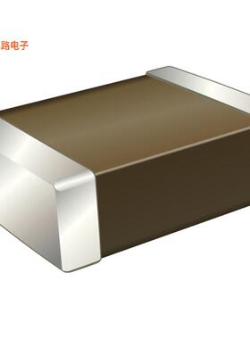 C0402X6S6R3-106MNP -原装[CAP CER 10UF 6.3V X6S 040210 F