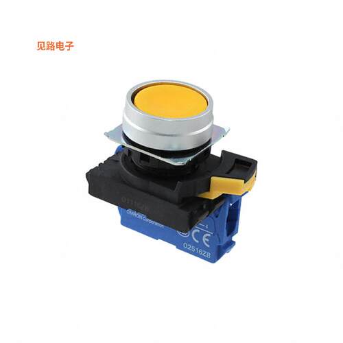 A22NN-MNM-NYA-G100-NN -[全新SWITCH PUSH SPST-NO 10A 120V]