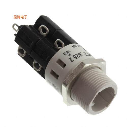 11-272.825 -[全新SWITCH PB DPDT 5A 250V]