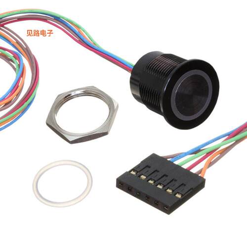 AVP19MAIBCE0DT5A04 -[全新SWITCH PUSHBUTTON SPST-NO