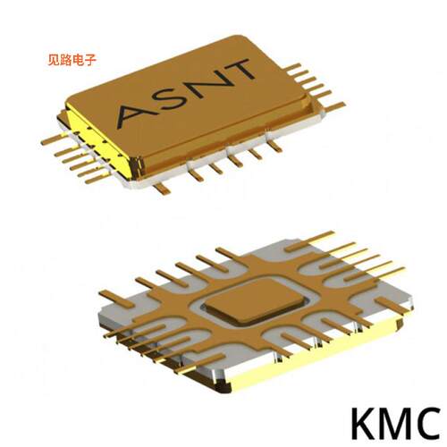 ASNT5040-KMC -原装[IC XOR 1-CIR 2-IN 24CQFPXOR（异或）