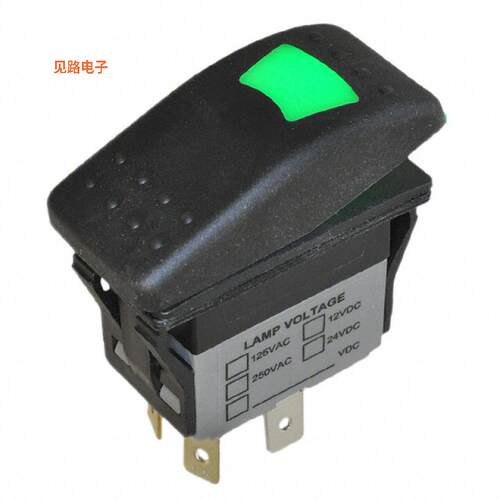 R711FE1-SXXX2BDGNW -[全新SWITCH ROCKER SPST 16A 30V]