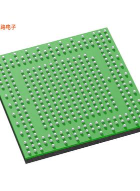 T40XP -[全新4K VIDEO AND AI VISION APPLICATI]