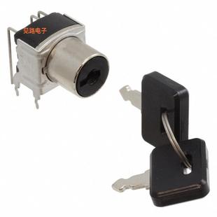 2POS KEYLK DPDT 0.4VA SK22BG30 28V 全新SWITCH