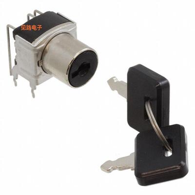 SK22BG30 -[全新SWITCH KEYLK 2POS DPDT 0.4VA 28V]