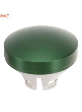 84-7202.500 -[全新LENS,  19.7 MM, NON ILLUMINATIVE]