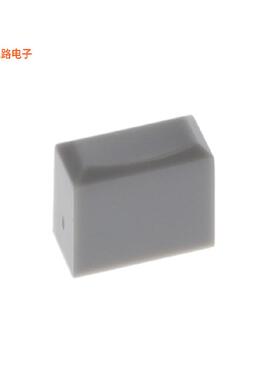 TA12GRY -[全新RECTANGLE PB SWITCH CAP GRAY]