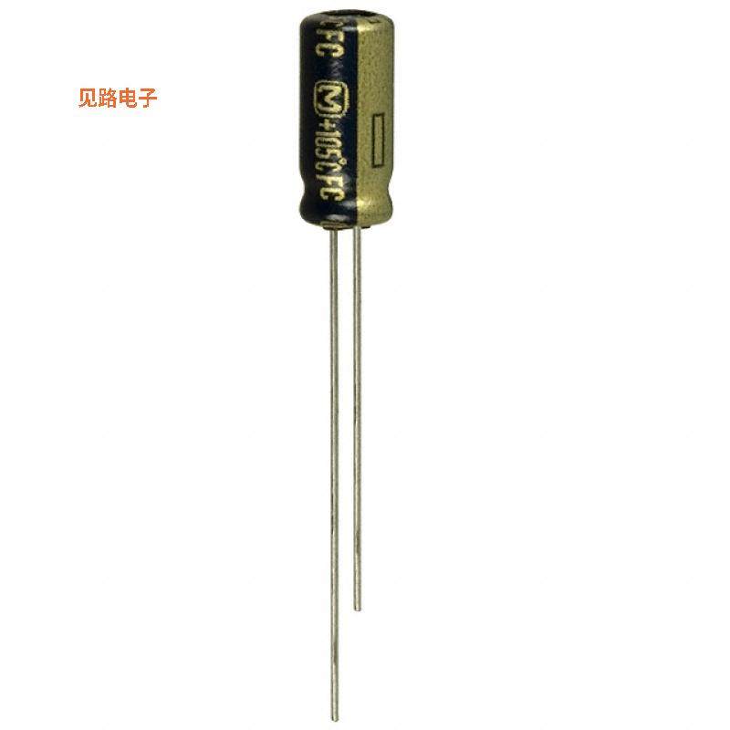 EEU-FC1A101S -原装[CAP ALUM 100UF 20% 10V RADIAL TH100 F,3C数码配件,笔记本零部件,淘宝优惠券,粉丝福利购,淘宝优惠卷