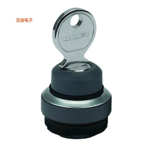 1.30.275.221/0800 -[全新CONFIG SW BODY KEYLOCK NON-ILLUM]