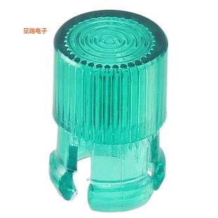 FRESNEL GREEN RING SNAP CLF_280_GTP 全新LENS