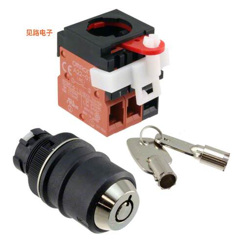 A22TK-2LR-12-K01 -[全新SWITCH KEYLCK 2POS DPST 10A 110V]