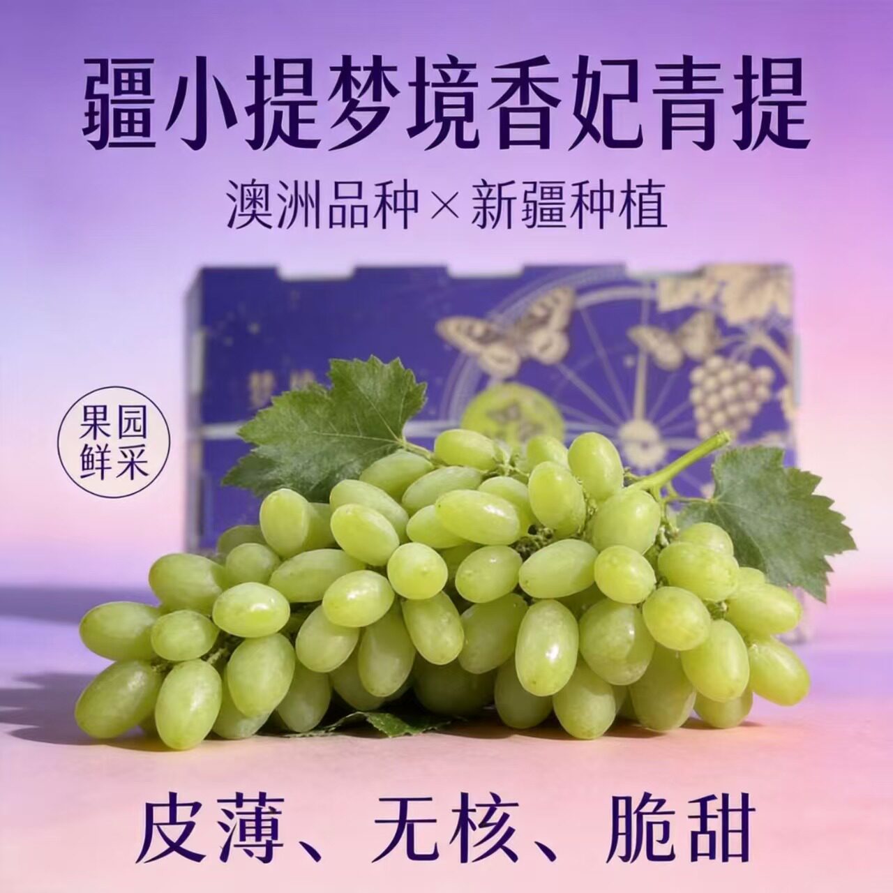 疆小提梦境香妃青提葡萄树上自然熟脆甜多汁澳洲品种新疆种植