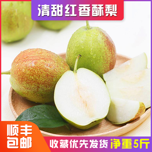 现摘现发新鲜梨子香梨酥梨非皇冠梨子砀山梨新鲜水果酥梨5斤包邮