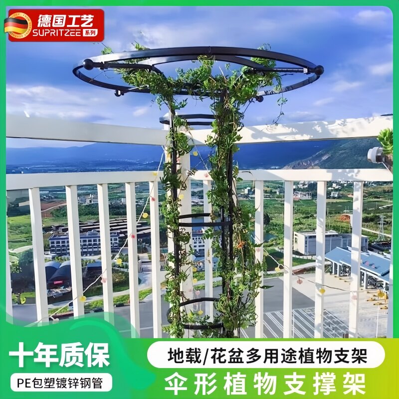 伞形花架支撑杆户外庭院钢管置物架室外花园植物月季玫瑰爬藤架子