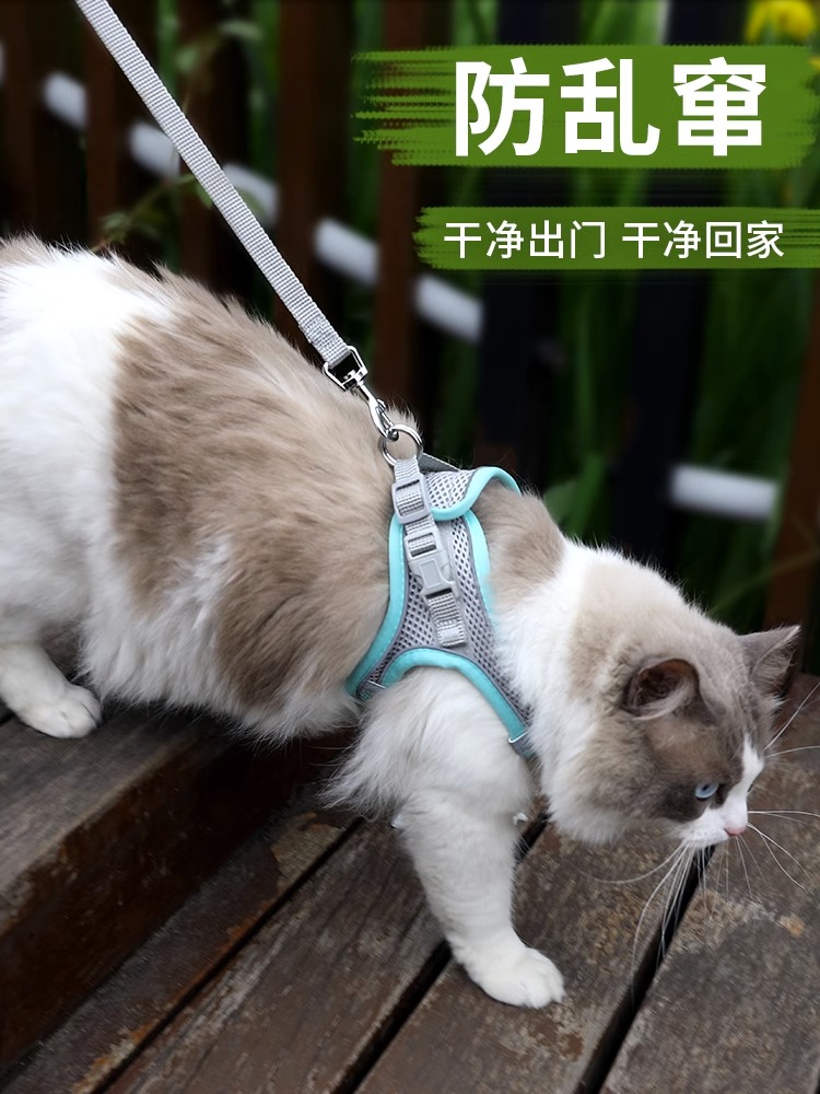 猫咪牵引绳遛猫绳外出溜猫绳栓猫绳牵猫绳防挣脱猫猫可调节背心式