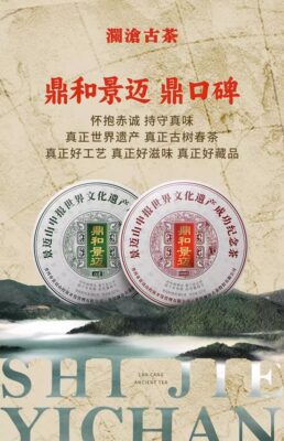 澜沧古茶2023年鼎和景迈