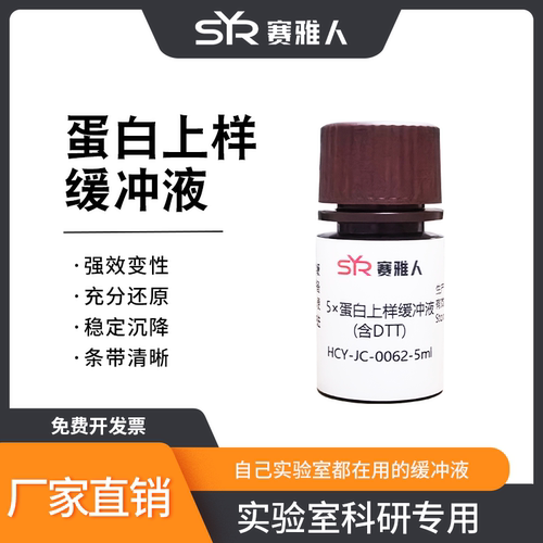 蛋白上样缓冲液性价比高