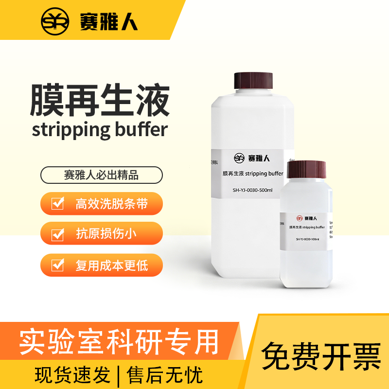 WB膜再生液 Western Blot 抗体剥离液 蛋白印迹膜再生液 温和增强
