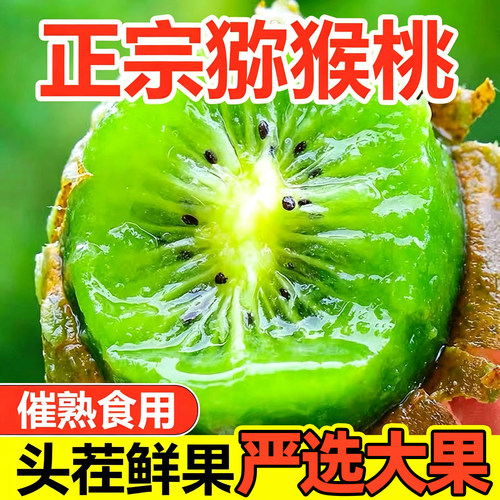 猕猴桃新鲜应季水果绿心弥猴桃当季非徐香特大果自然成熟香甜爆汁