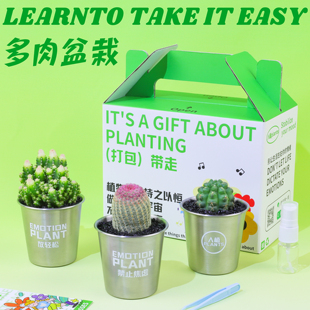 氧植青年万重山仙人球植物高颜值办公室桌面小花盆带盆栽好送礼物