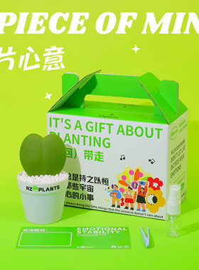 多肉植物办公室桌面工位小花盆栽