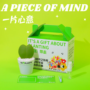 氧植青年心叶球兰一片心多肉小盆栽桌面好养表达心意绿植礼物礼盒