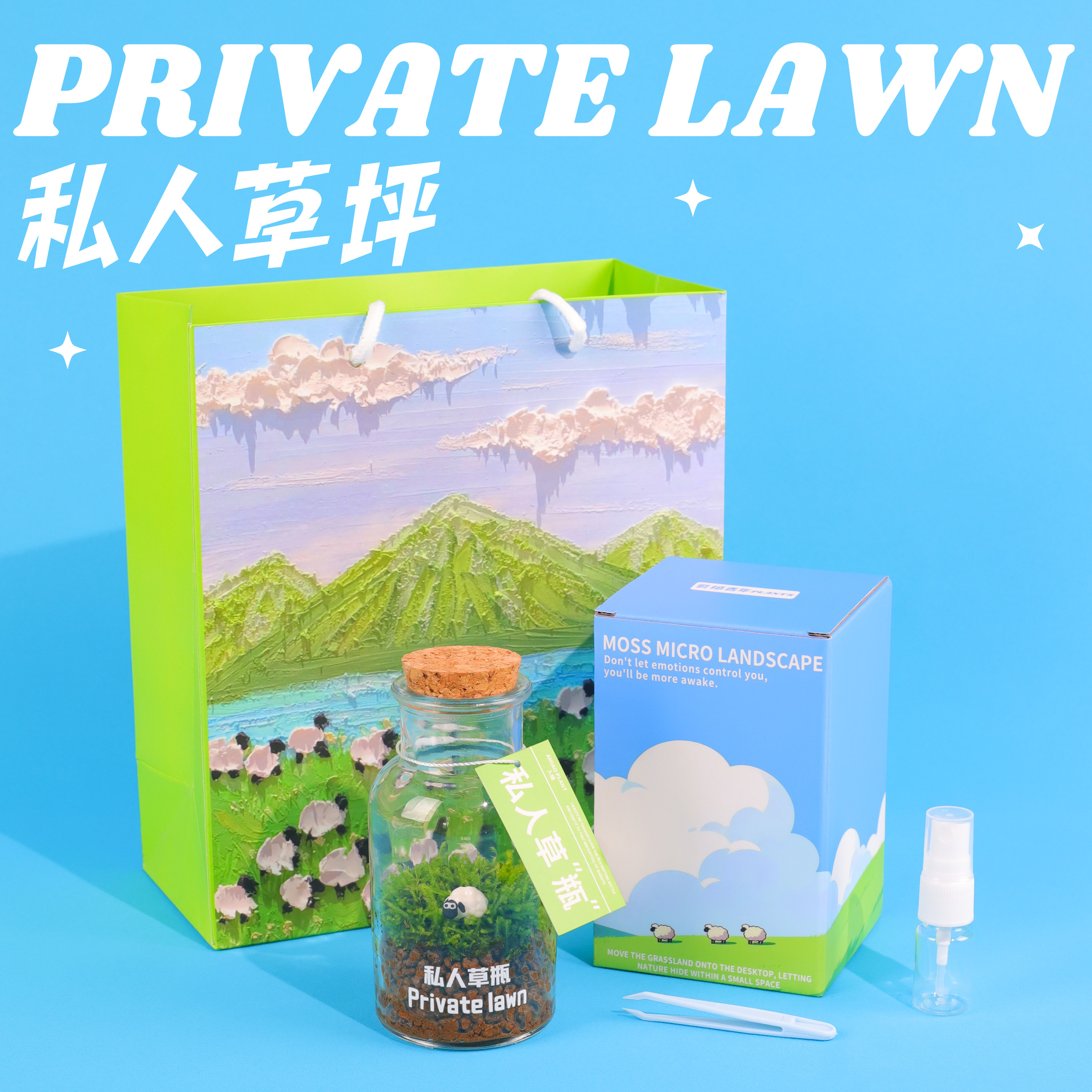 氧植青年苔藓私人草坪微景观办公室桌面情绪稳定植物生态瓶小盆栽