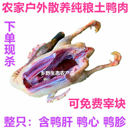 散养土鸭麻鸭白鸭粮食鸭子农家水鸭仔鸭嫩 活鸭4斤多现杀新鲜包邮