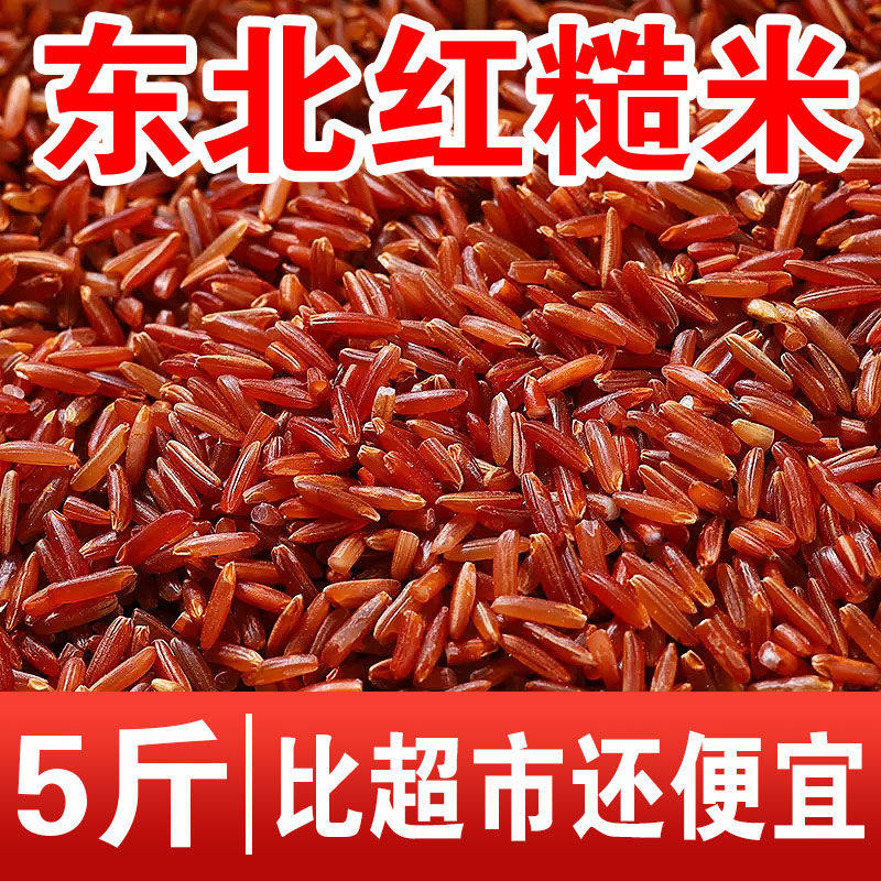 农家红糙米新鲜红米五谷杂粮红糙米颗粒饱满100g1斤多规格红米