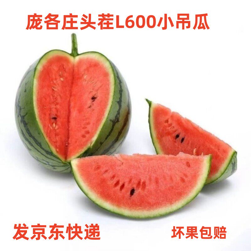 大兴庞各庄头茬小西瓜 L600小吊瓜新鲜水果 2个约7斤北京发货