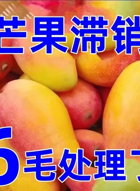 海南贵妃芒芒果新鲜9斤