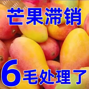 海南贵妃芒芒果新鲜9斤水果当季整箱树上熟红金玉青煌辣椒台芒发