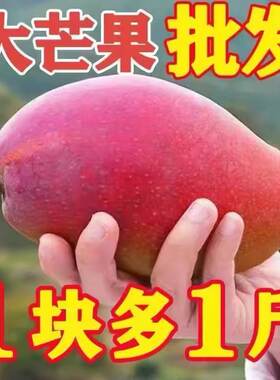 海南贵妃芒新鲜芒果10斤
