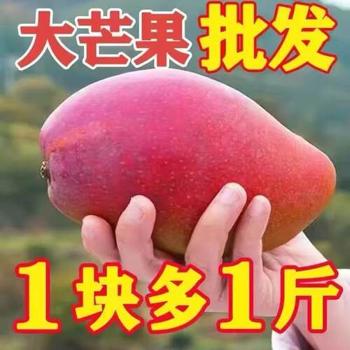 海南贵妃芒新鲜芒果10斤