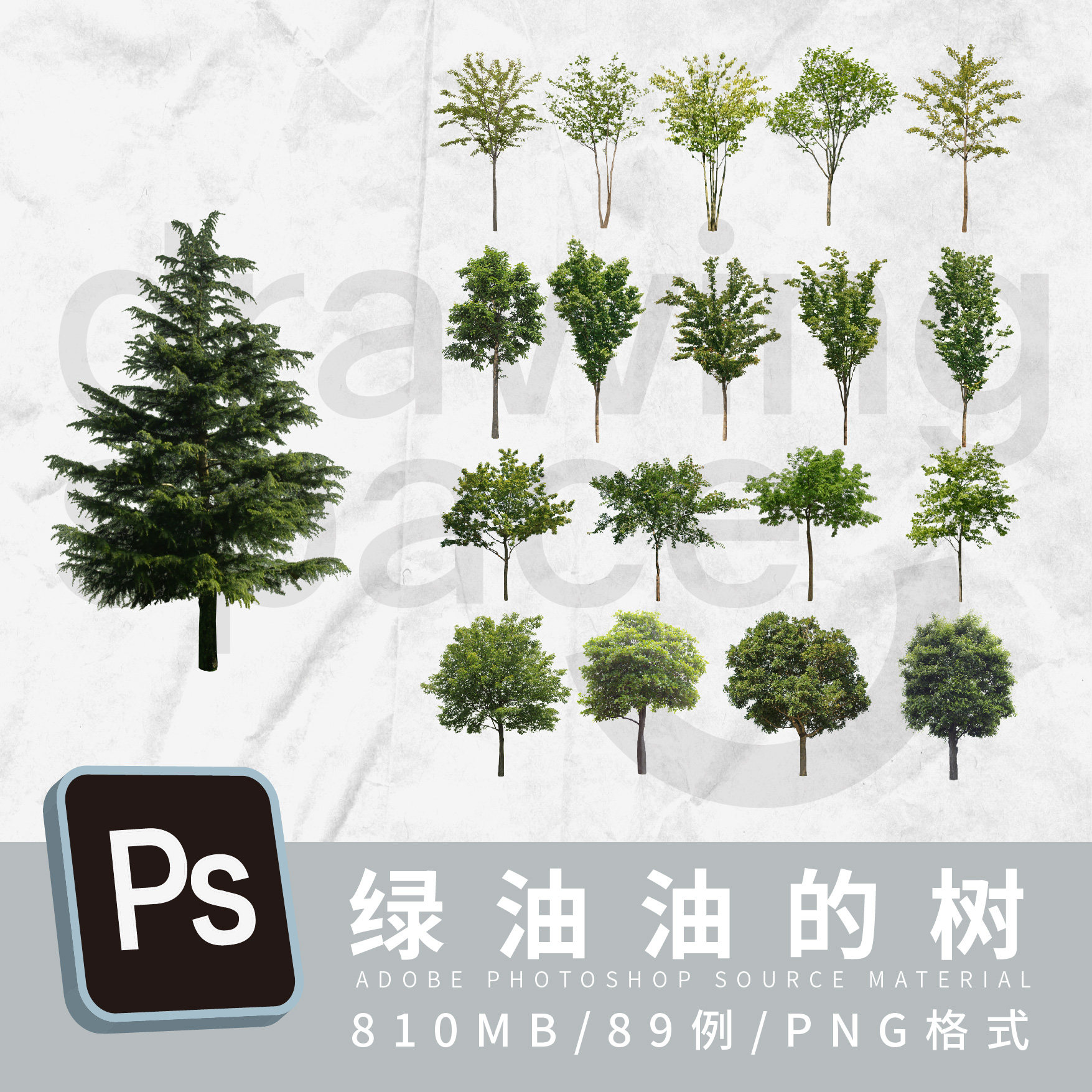 ps绿油油的树89例png格式