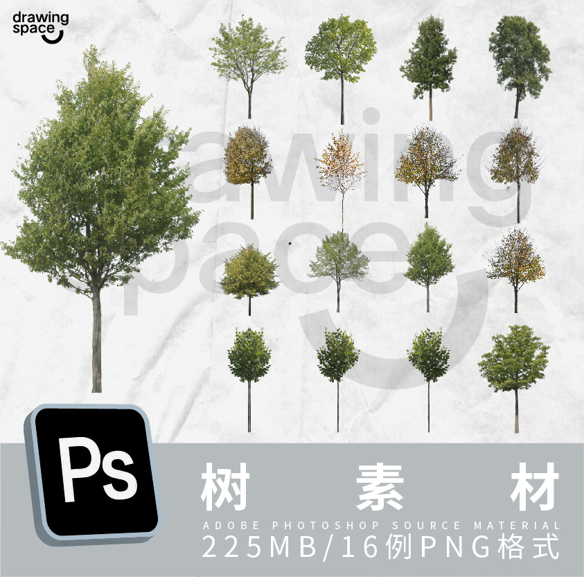 ps树素材16例png格式