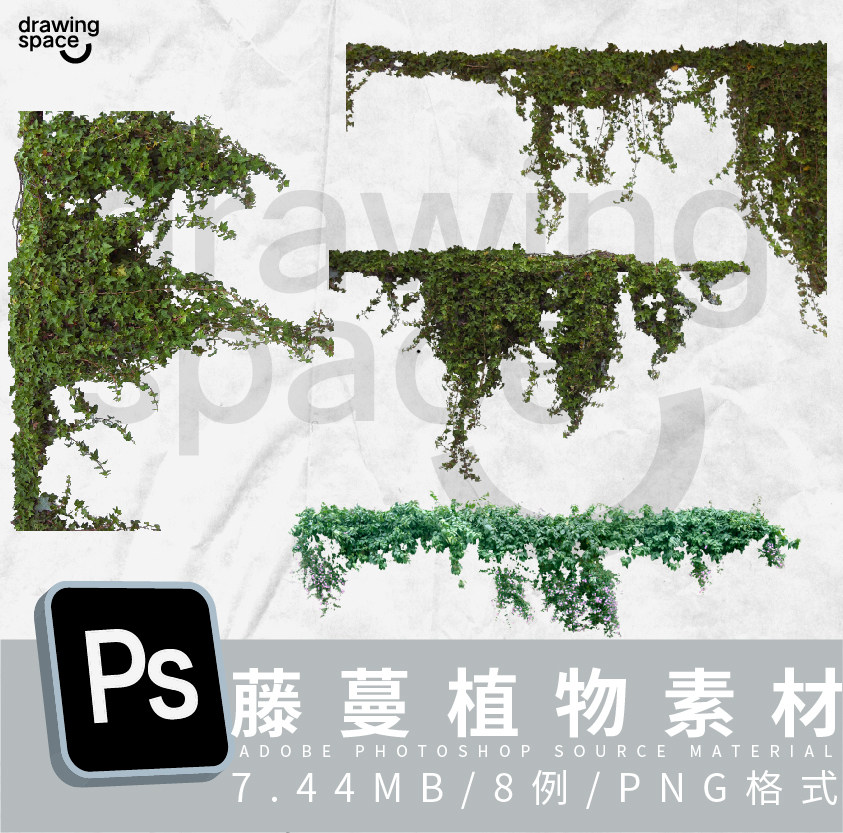 ps藤蔓植物素材8例png格式