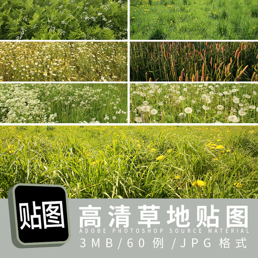 高清草地60例jpg格式