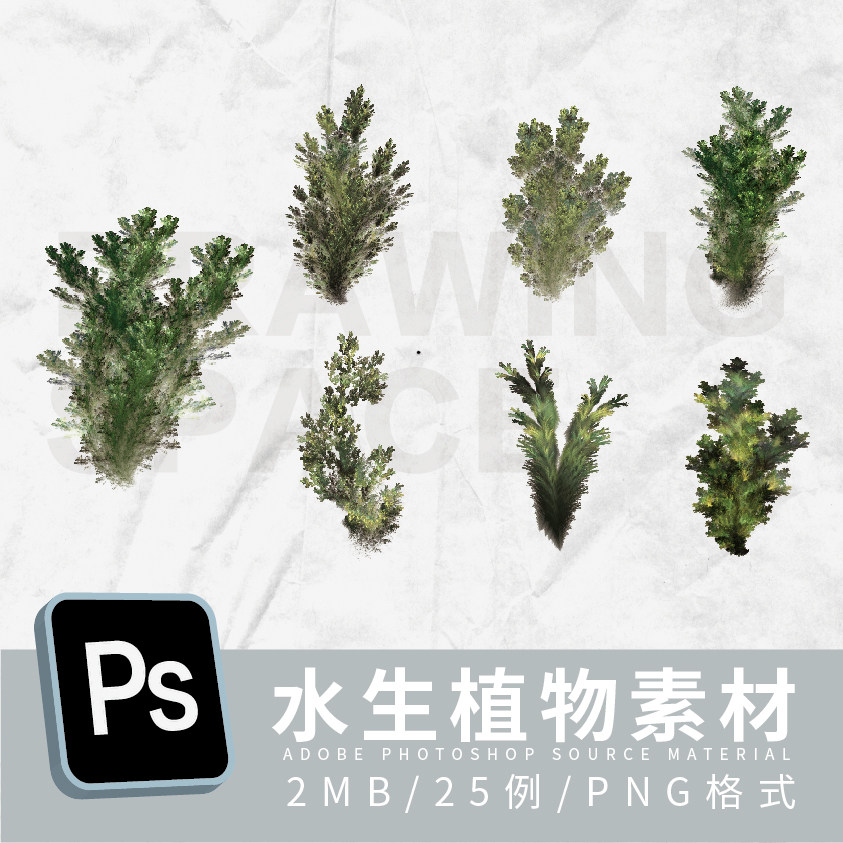 ps水生植物素材25例png格式