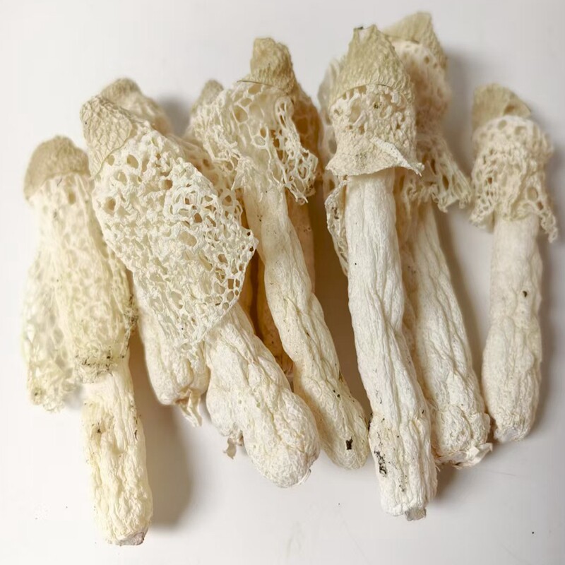 贵州特产织金竹荪干货竹笙