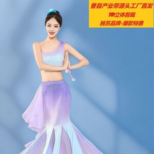 新款成人傣族舞蹈服装演出服女
