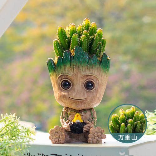 多肉植物仙人掌小盆栽格鲁特摆件