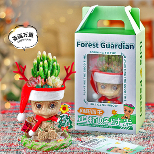 仙人掌多肉格鲁特小盆栽办公室桌面绿植新年生日情人节圣诞节礼物