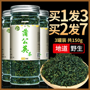 新鲜整株蒲公英茶买1发3