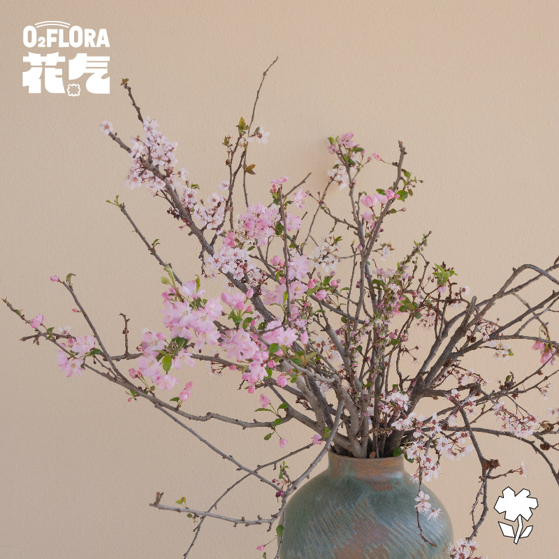 花气 | 桃花樱花海棠花【早春的树】鲜切山野感枝条玄关橱窗装饰