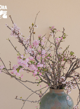花气 | 桃花樱花海棠花【早春的树】鲜切山野感枝条玄关橱窗装饰